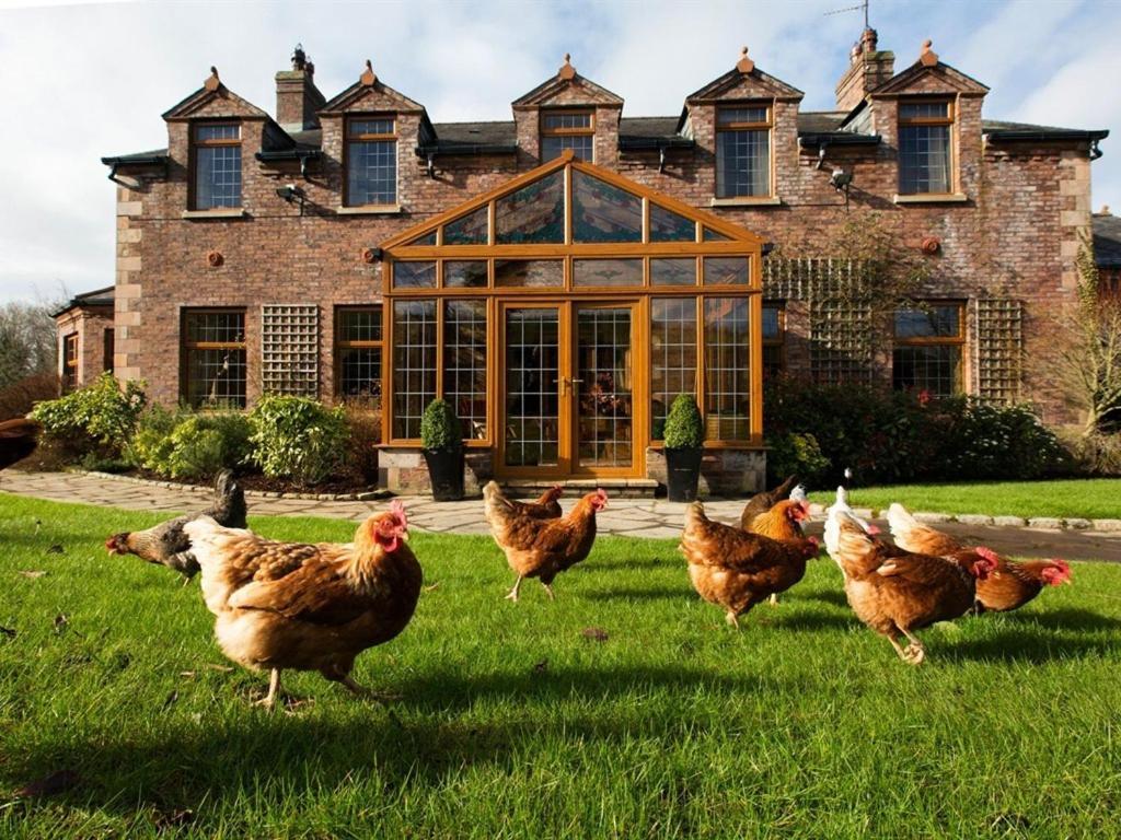 Blackwell House Banbridge Exterior foto